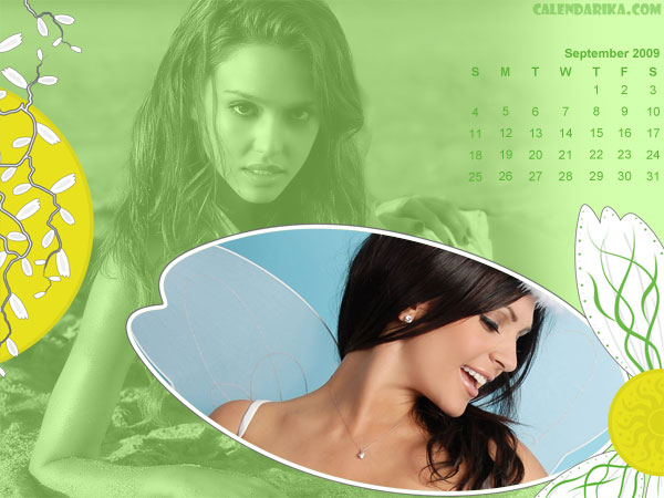 Calendar Wallpaper. Camomiles