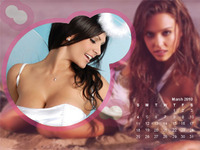 Calendar Pink Spheres