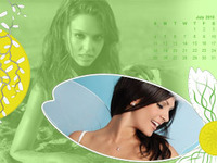 Calendar Camomiles